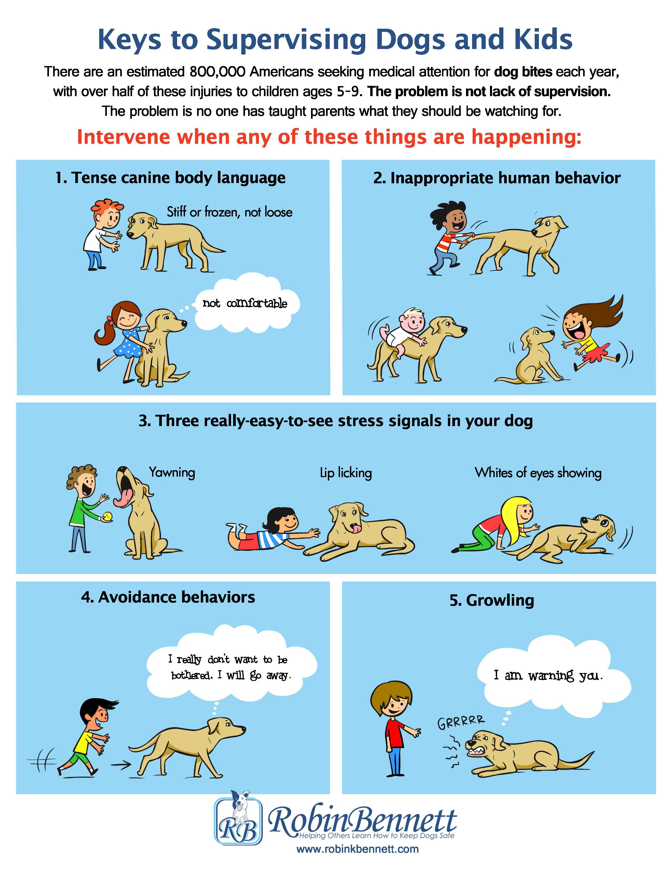 Keys To Supervising Dogs Kids